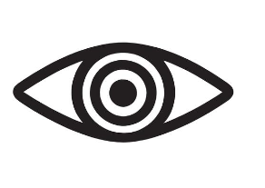 Vision